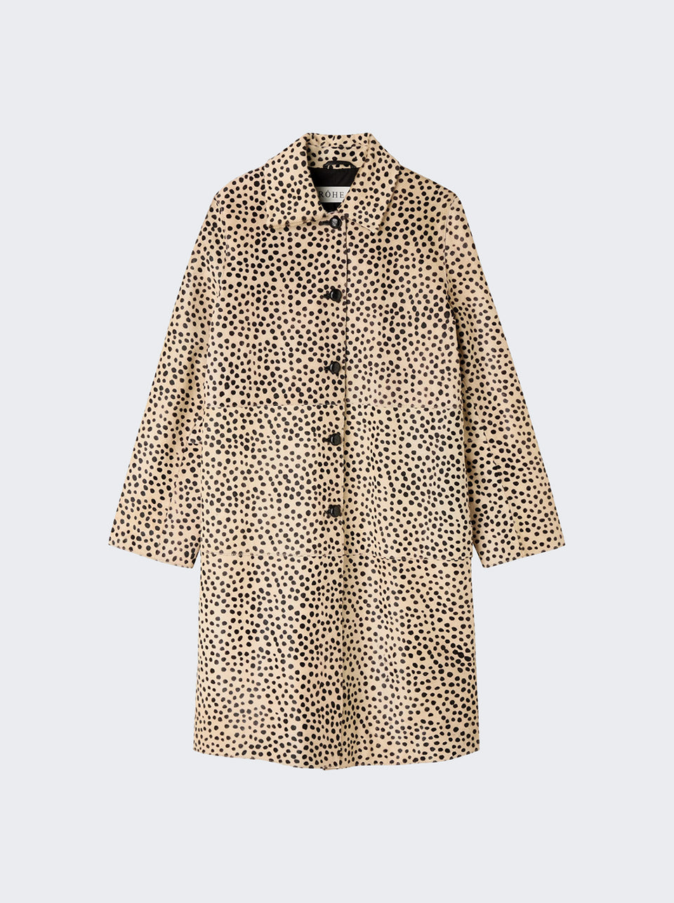 418-10-188_Leopard_01.jpg