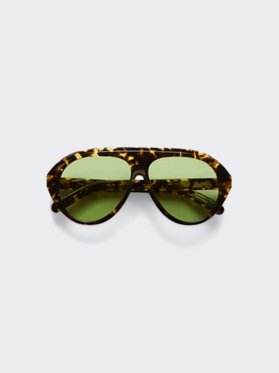 The Icon Tortoise_A_01.jpg