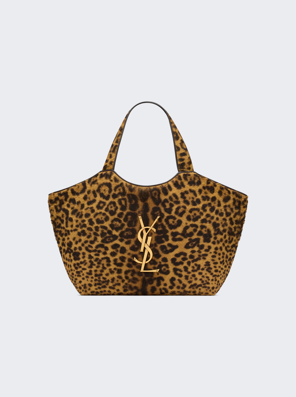 871494 AAGNO_Leopard_01.jpg