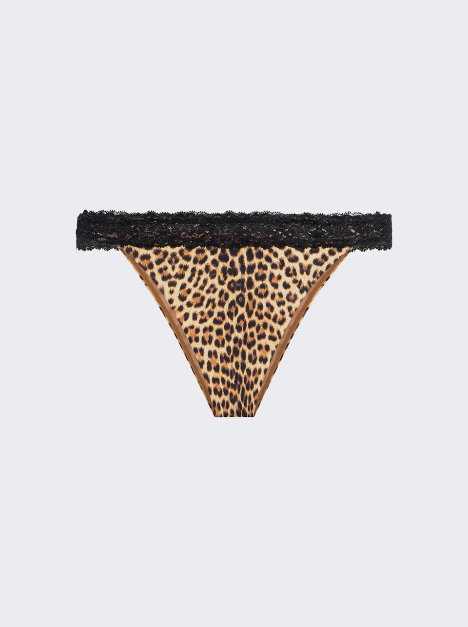 WQW015 HVR31_Brown_01.jpg
