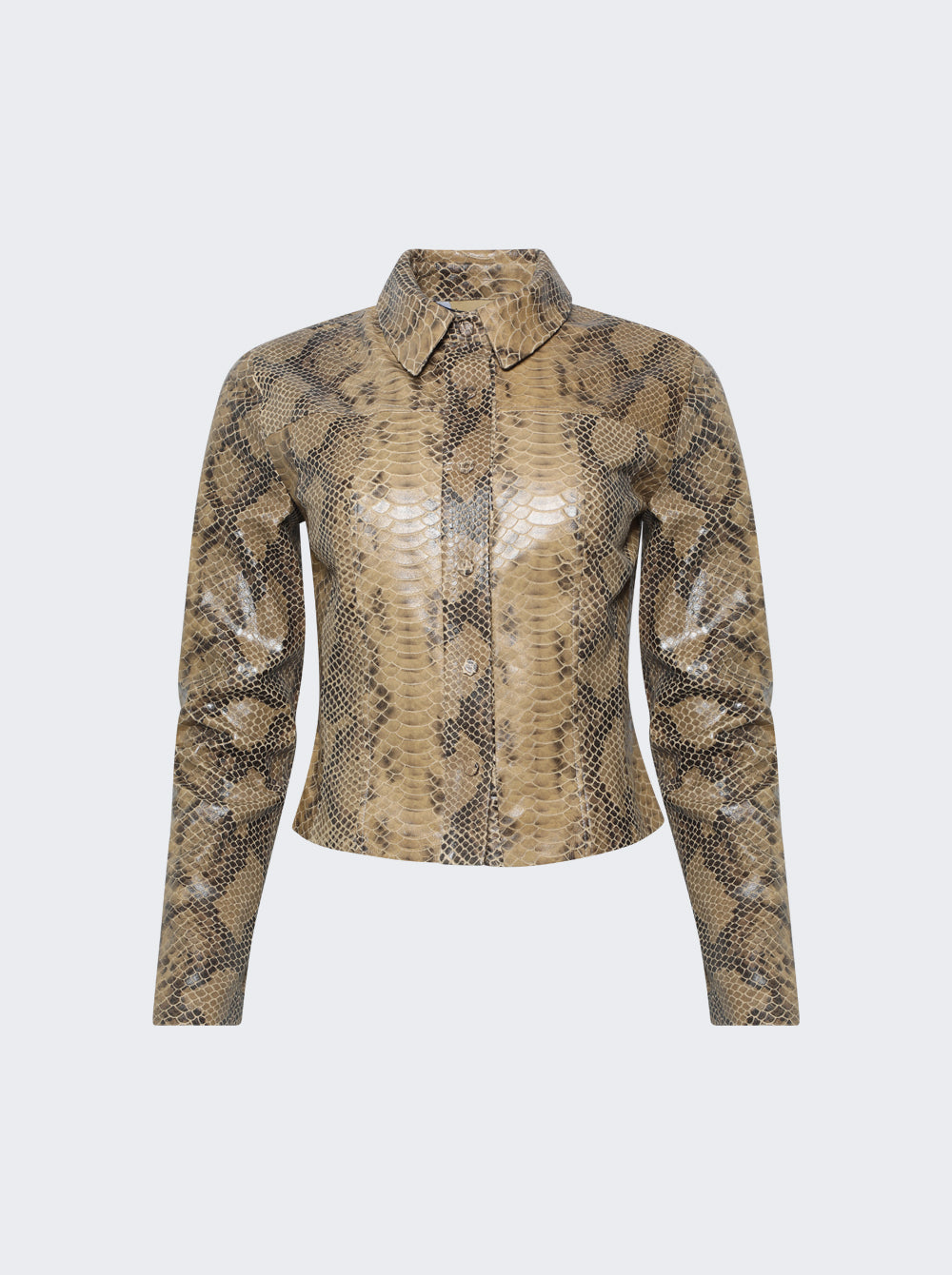 FW26TP08_Camel_01.jpg