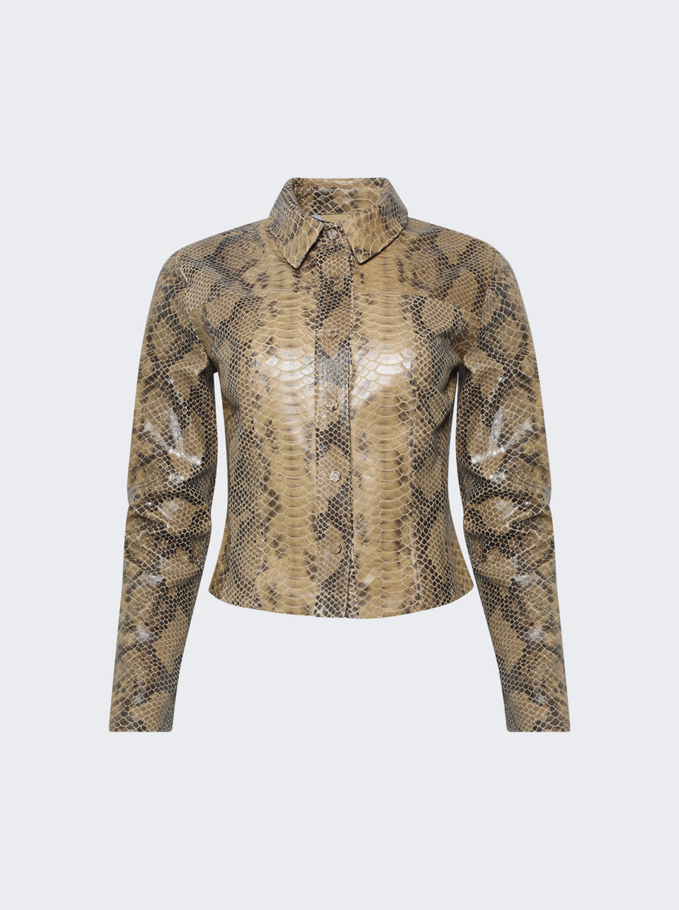 FW26TP08_Camel_01.jpg