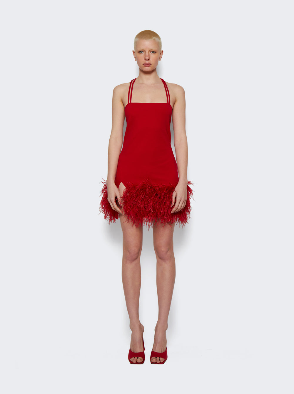 231WS000_Red_02.jpg