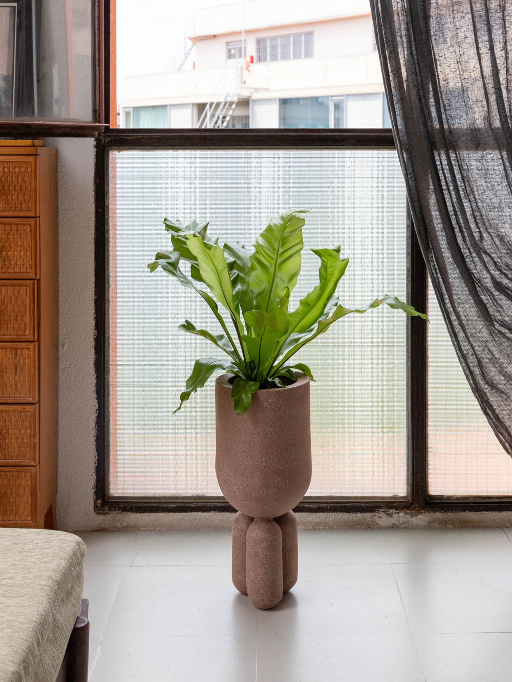 PLANTER-M_Brown_02.jpg