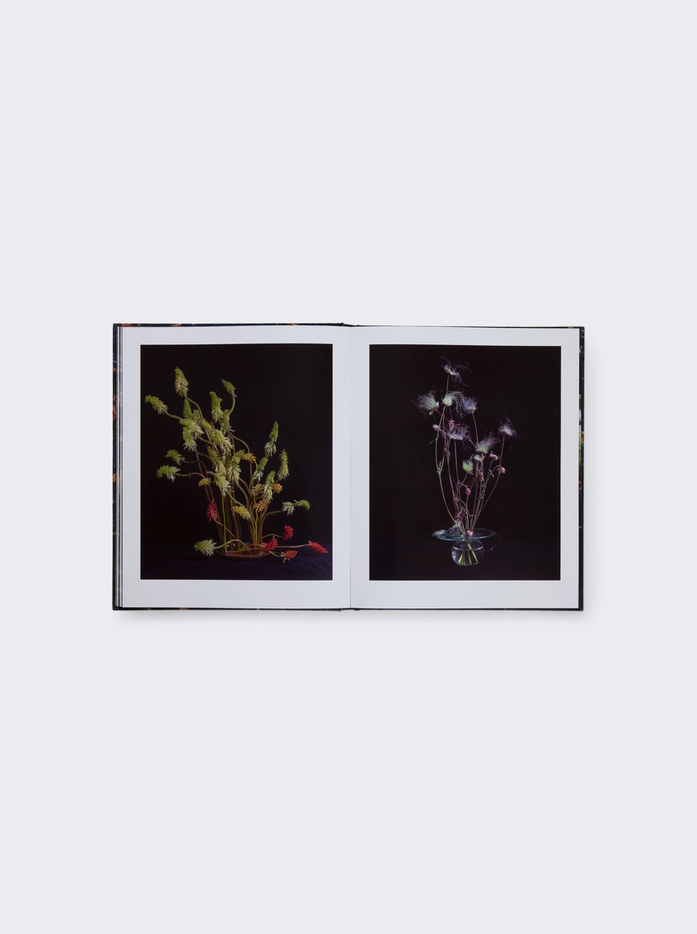 9781580936521_A_03.jpg