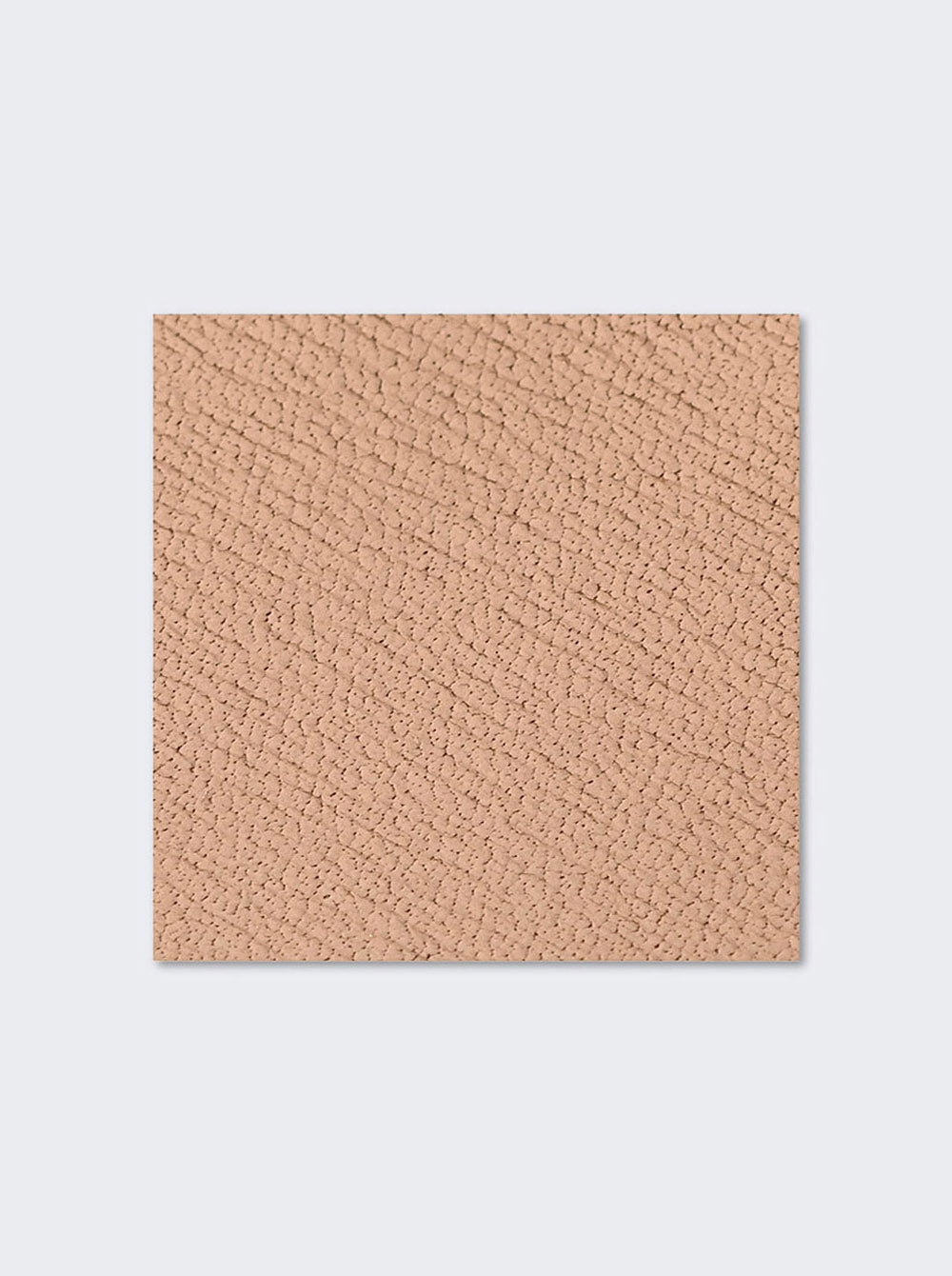 LBRECAMELENG_Camel_04.jpg