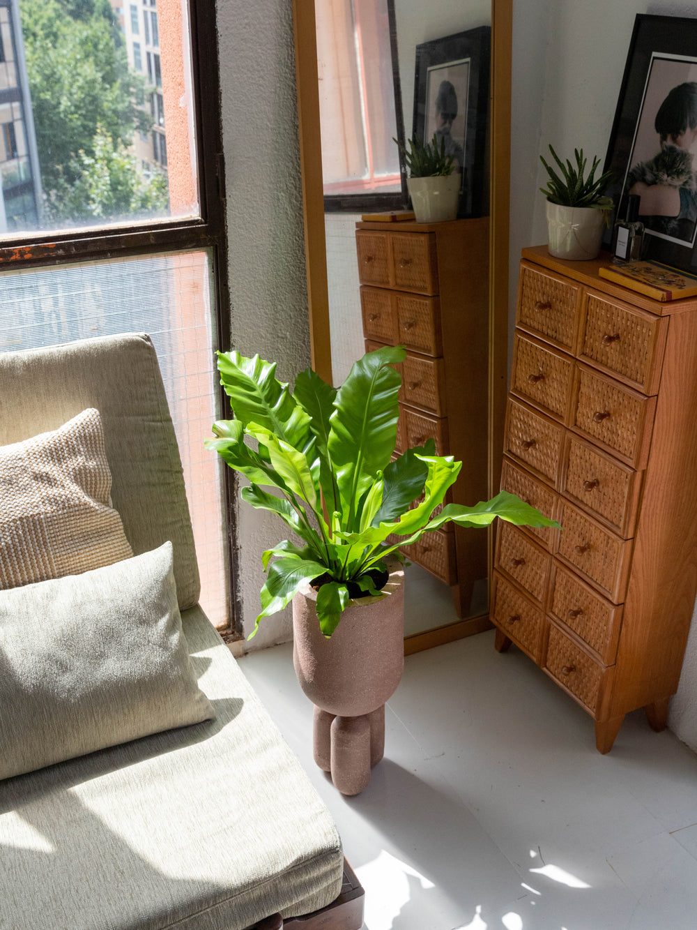 PLANTER-M_Brown_04.jpg