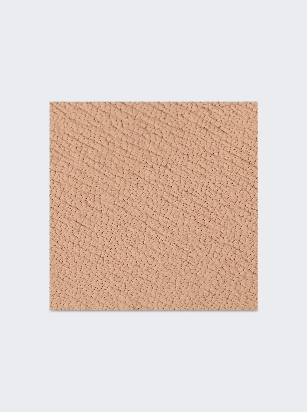 LBRPOUCAM_Camel_04.jpg