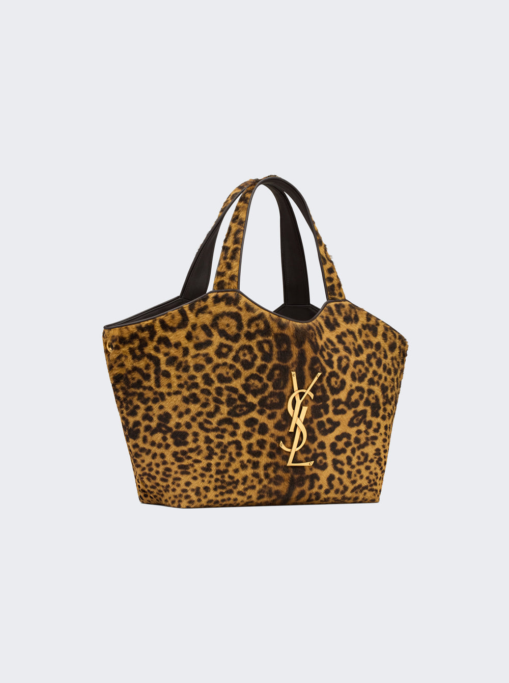 871494 AAGNO_Leopard_04.jpg