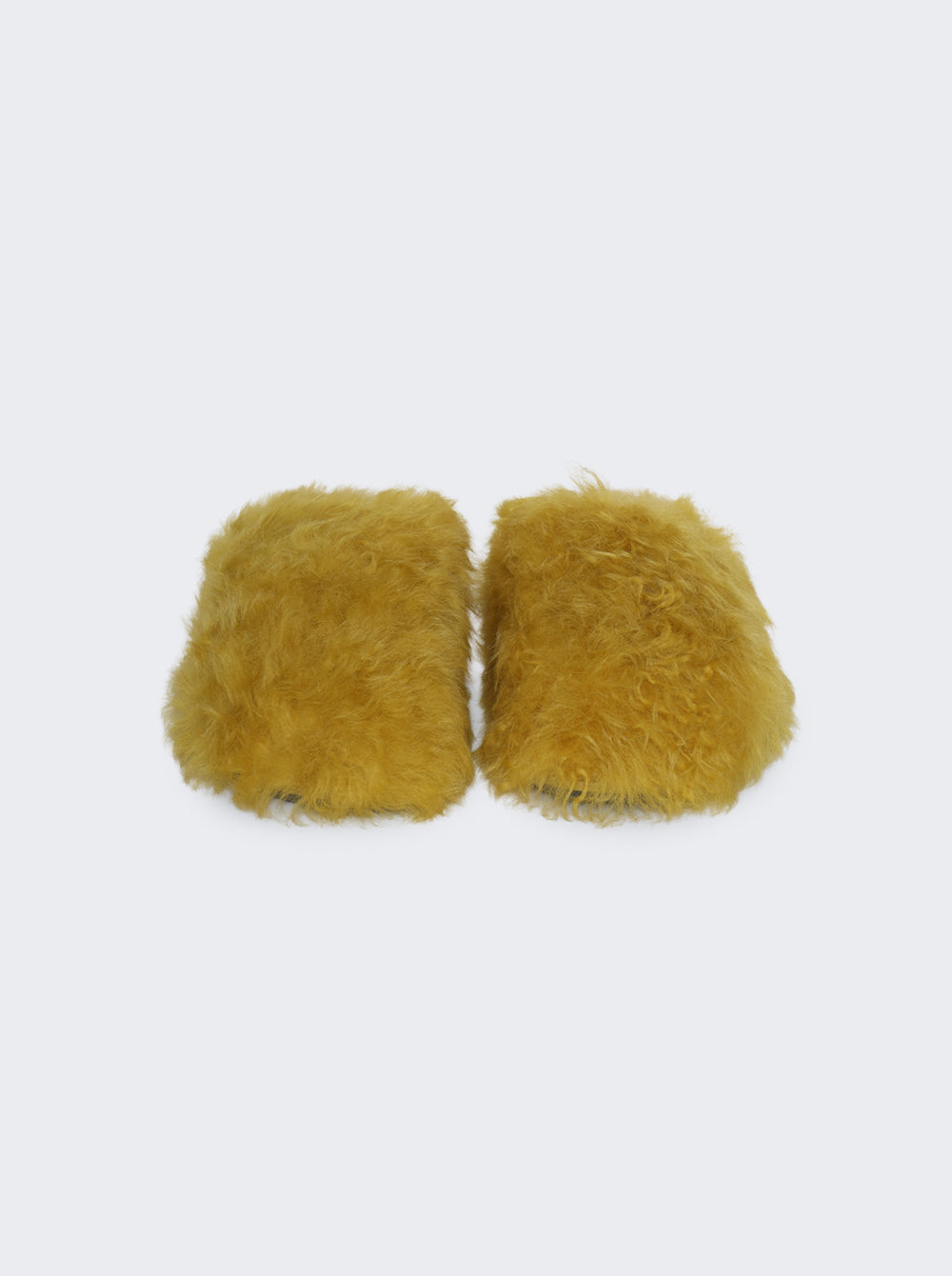 RU01F2809 LSHCPA_Yellow_05.jpg
