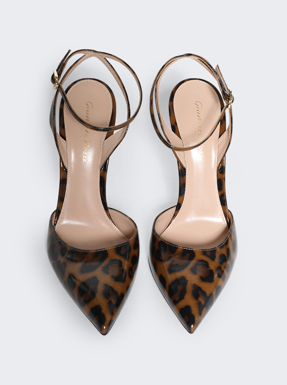 G95416-11RIC-NUILEPA_Leopard_05.jpg