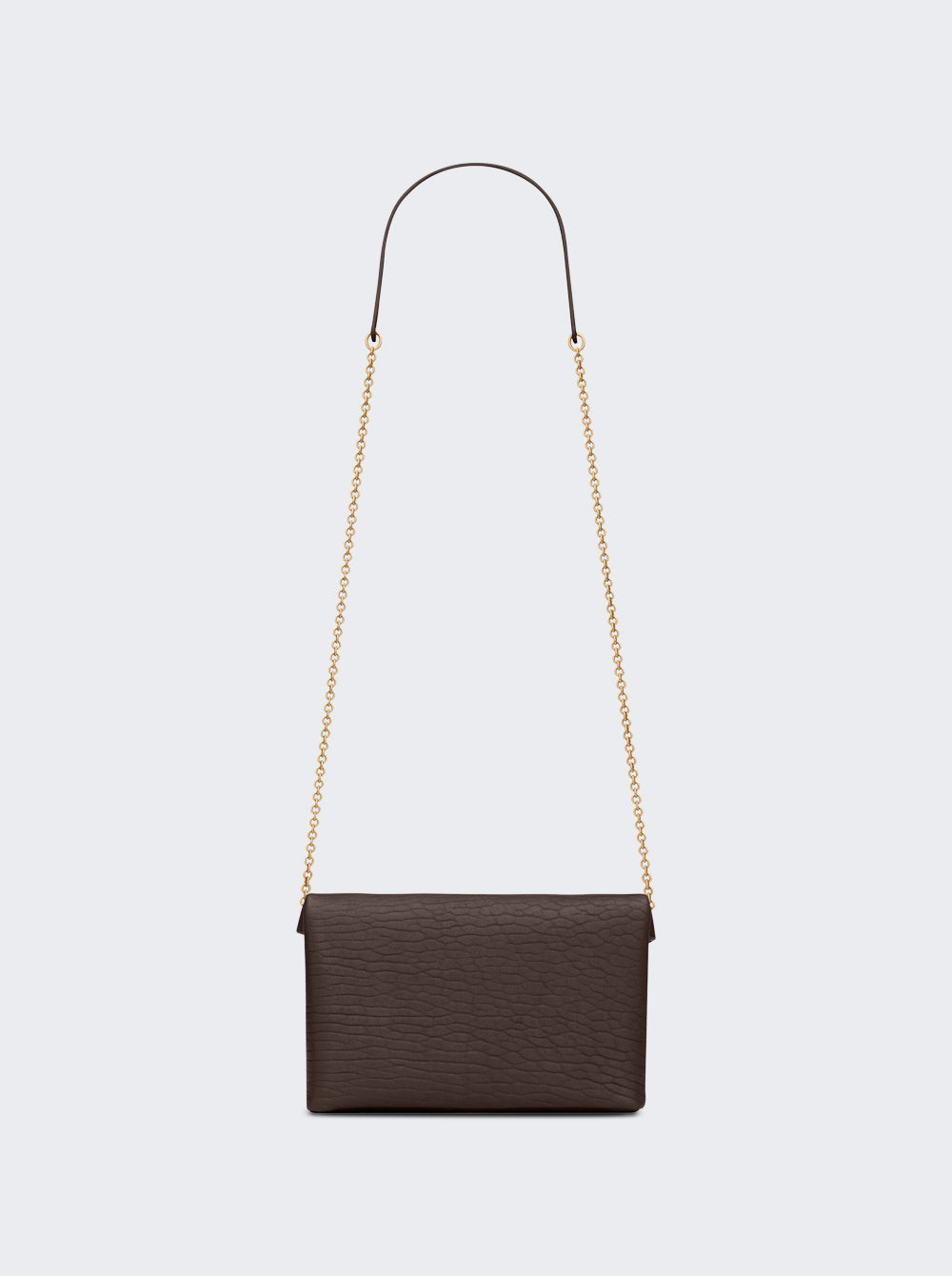 855569 AACYT_Brown_05.jpg