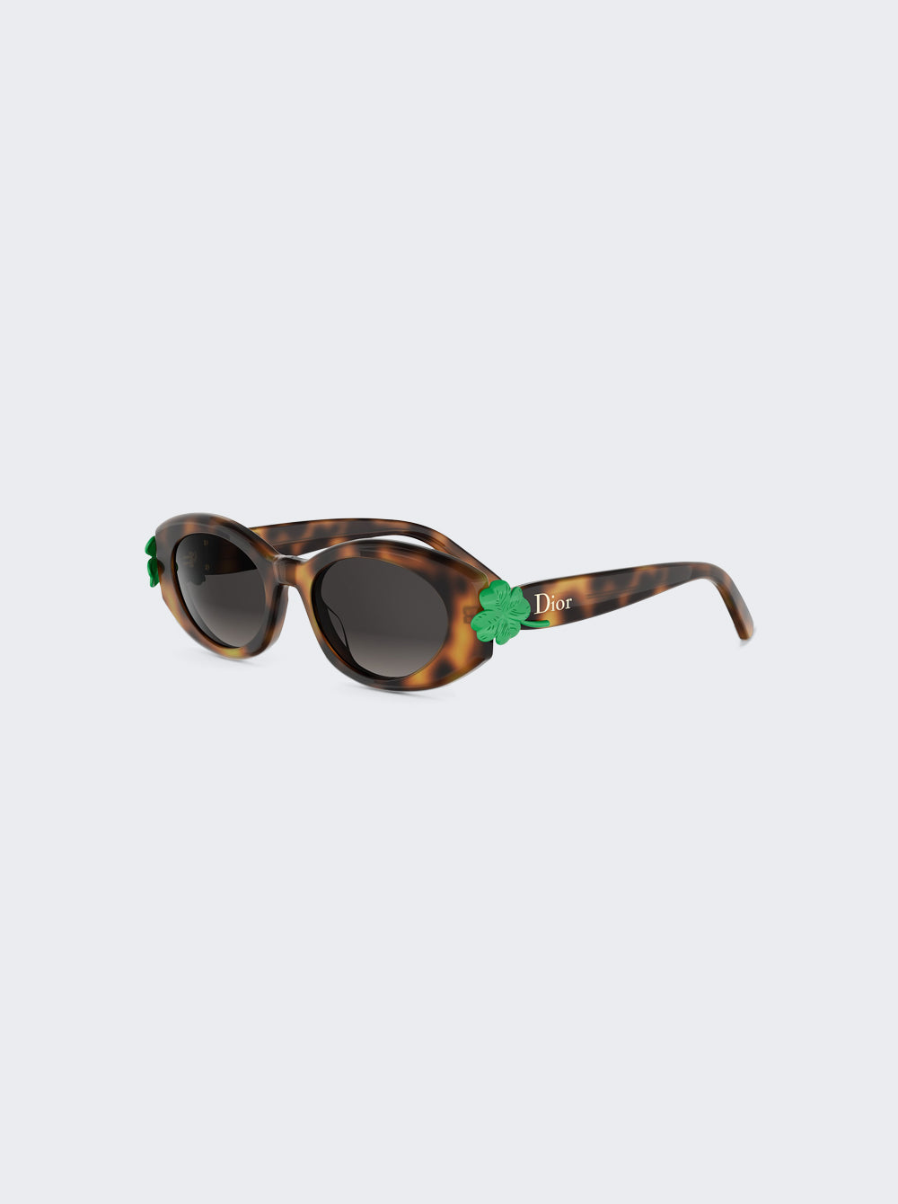 CD40260IW5253B_Brown_06.jpg