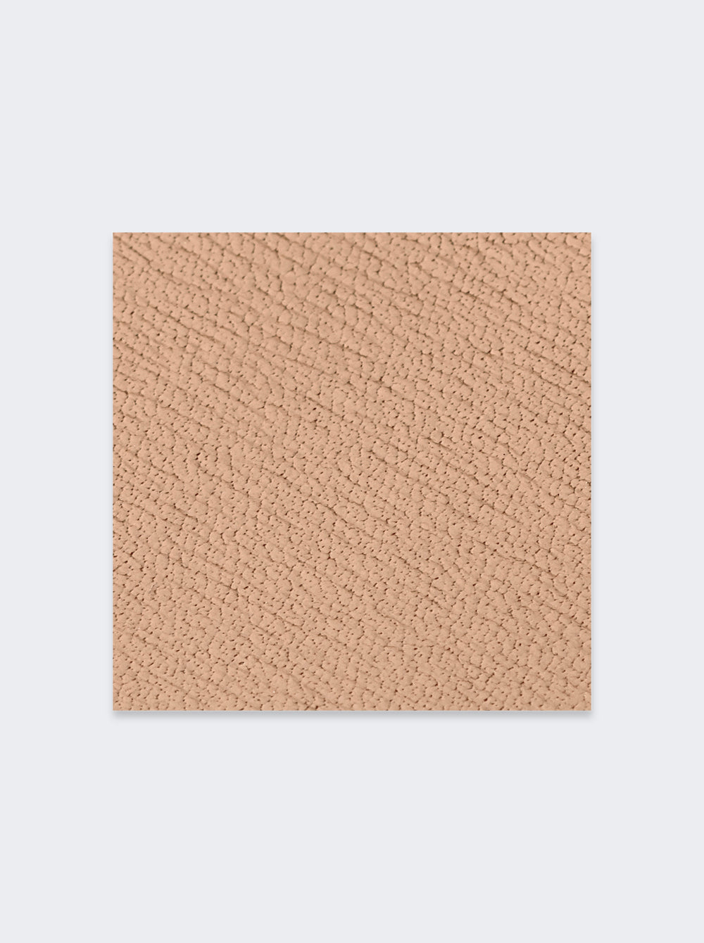 LBRPOUCAM_Camel_07.jpg