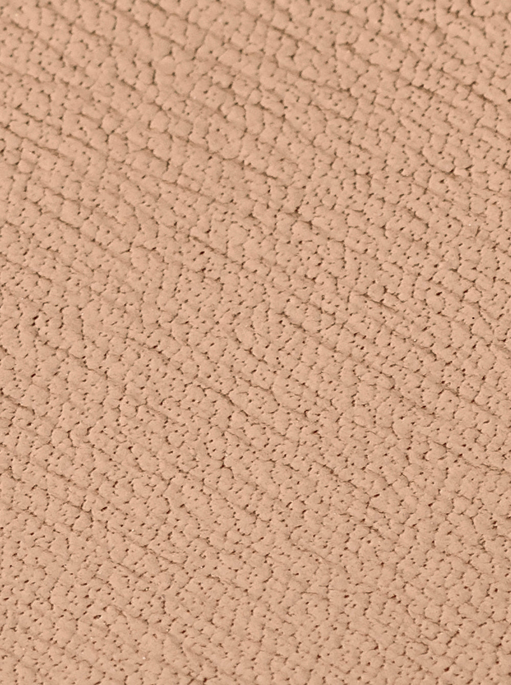 LBRECAMELENG_Camel_07.jpg