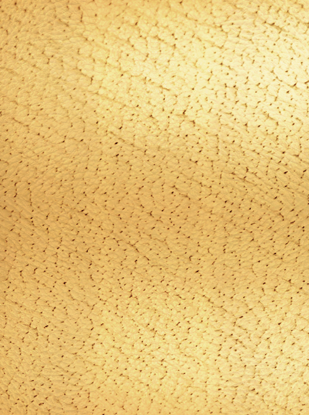 LBREOR_Gold_07.jpg