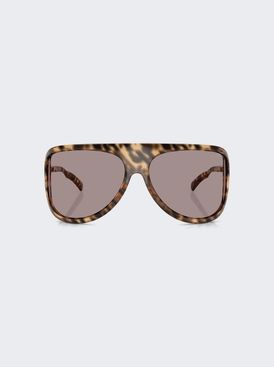 Enigme Sunglasses Havana