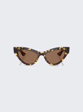 X Oliver Peoples 1951c Sunglasses Dark Brown