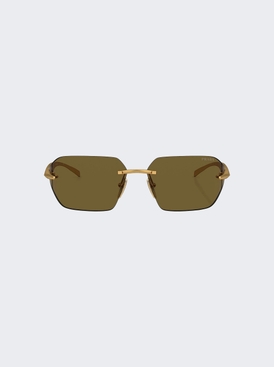 Runway Sunglasses