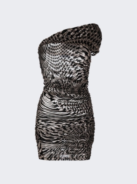 Printed Mesh Mini Dress