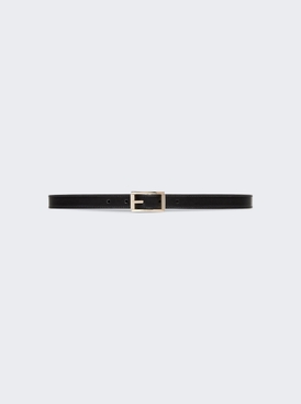 Reversible Thin Belt