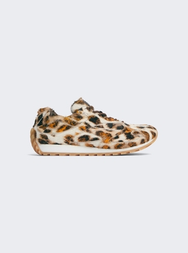 Orbit Sneaker Jaguar