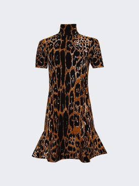 Leopard Dress Noir And Multicolor
