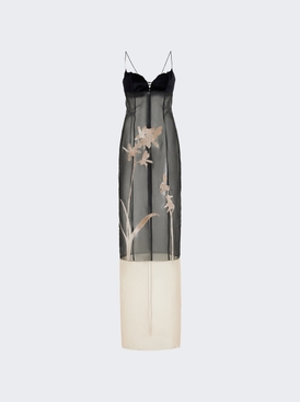 Sheer Isabella Dress Black And Cream