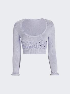 Crochet Scoop Neck Long Sleeve Crop