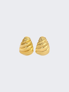 Shell Earrings