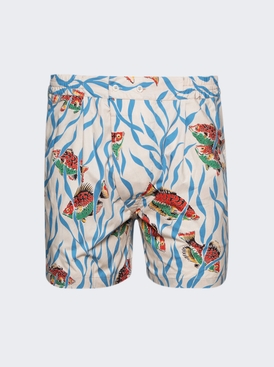 Swimmers Boxer Shorts