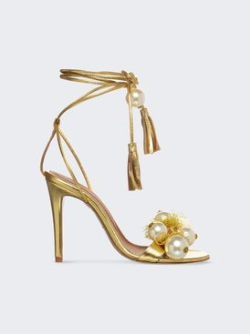 Nassau Heels Gold