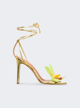 Prudence Heels Gold