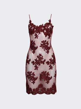 Lace Slip Dress Red