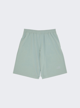 X Salomon D1 Shorts Jadeite