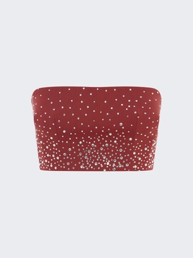 Strapless Crop Top In Crystal Porwer Mesh Cognac